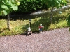 Legoland-2010-029 Legoland-2010-029
