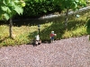 Legoland-2010-029