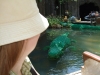 Legoland-2010-074